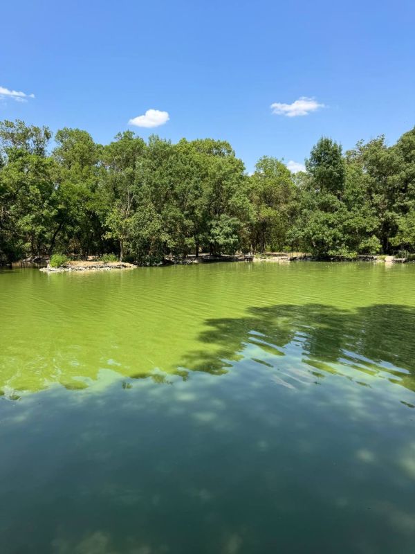 ����� ��������: ������� ������� �������� � �������-����