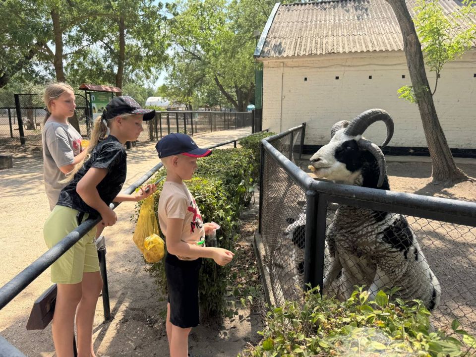 ����� ��������: ������� ������� �������� � �������-����