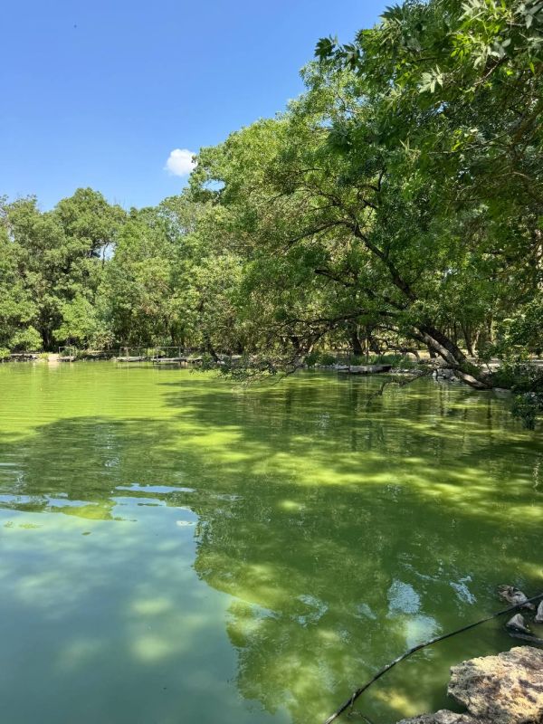 ����� ��������: ������� ������� �������� � �������-����