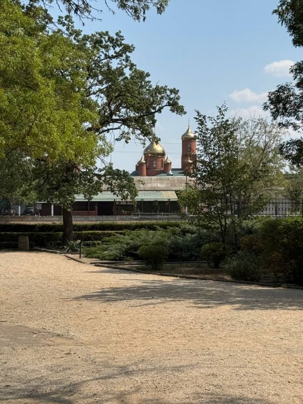 ����� ��������: ������� ������� �������� � �������-����