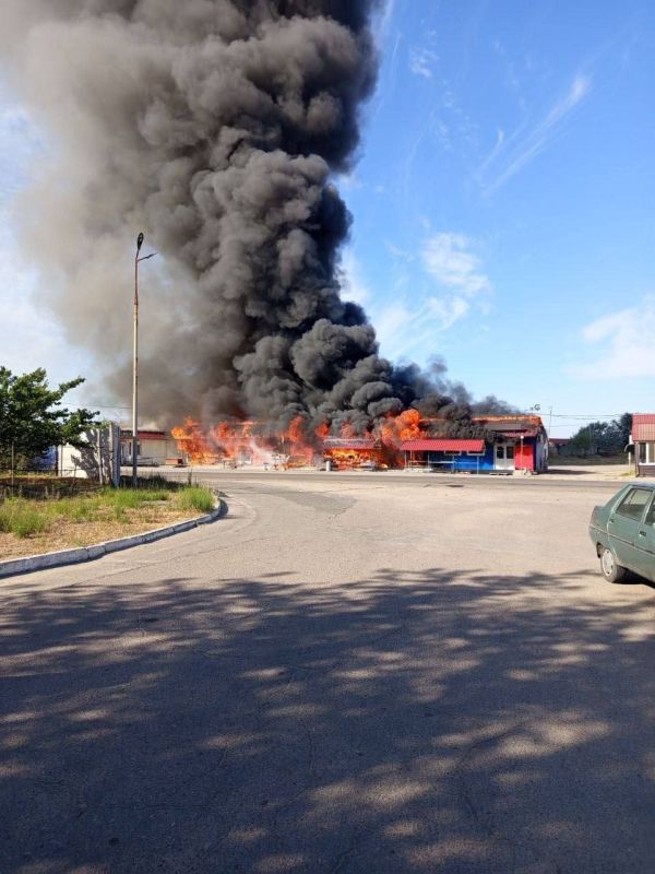 ���� ����: ���������� ��� ����� ���������� 60 ���������� ����: 31 � ��� ������������, 12 � ��� ����������, 5 � ��� ������������� �����, 4 � ��� ׸���� �����, 3 � ��� �����������, �� 2 � ��� �������� � �������� ���, 1 � ���...