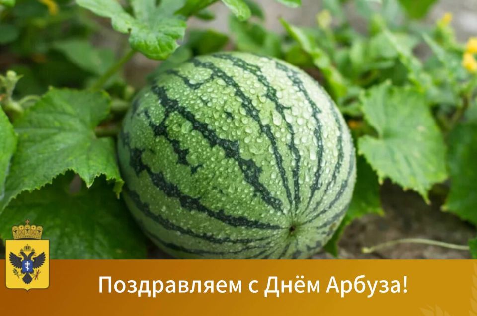День Арбуза – сладкий праздник!