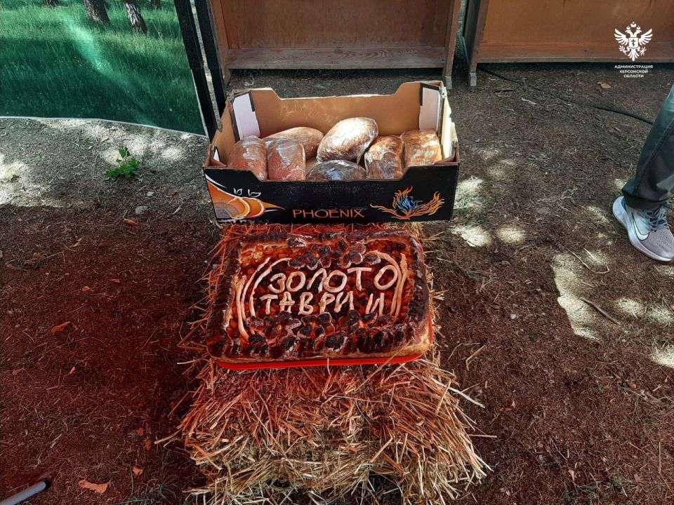 В Херсонской области прошёл фестиваль «Золото Таврии» В Херсонской области прошёл фестиваль «Золото Таврии»