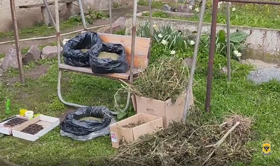 Прокуратура направила в суд уголовное дело о незаконном приобретении и хранении наркотических средств в крупном размере Прокуратура направила в суд уголовное дело о незаконном приобретении и хранении наркотических средств в крупном размере