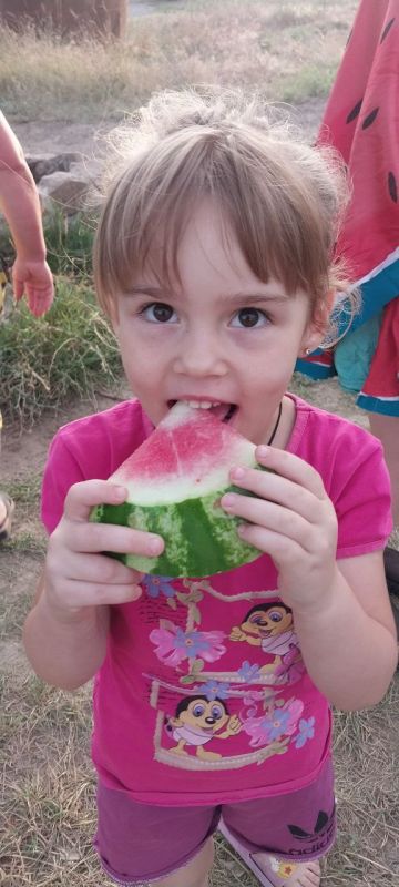 Арбузный переполох на берегу Сиваша! Арбузный переполох на берегу Сиваша!