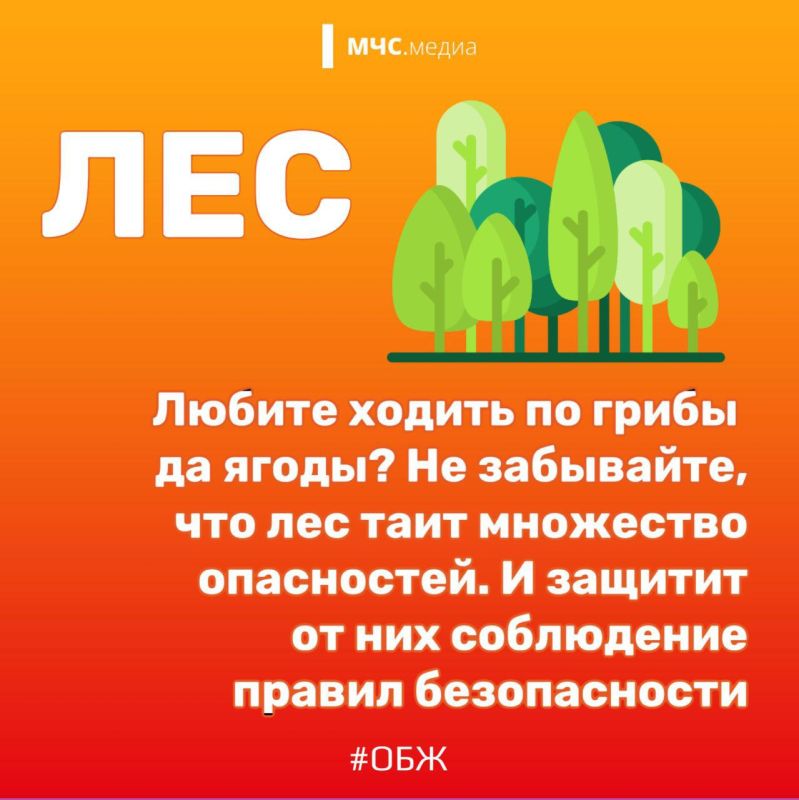 5 главных летних опасностей 5 главных летних опасностей
