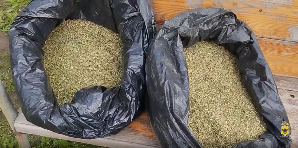 Прокуратура направила в суд уголовное дело о незаконном приобретении и хранении наркотических средств в крупном размере