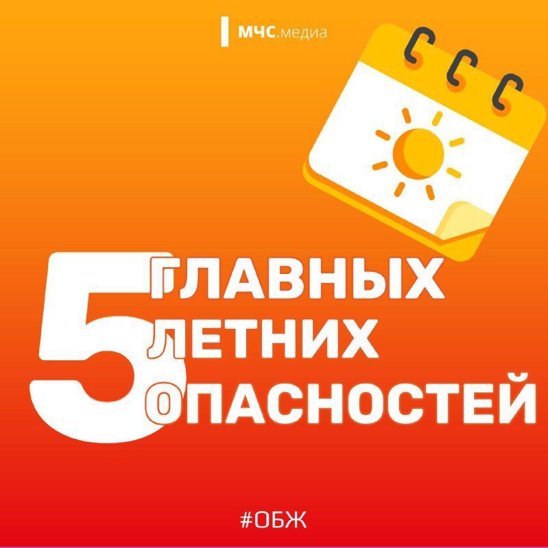 5 главных летних опасностей