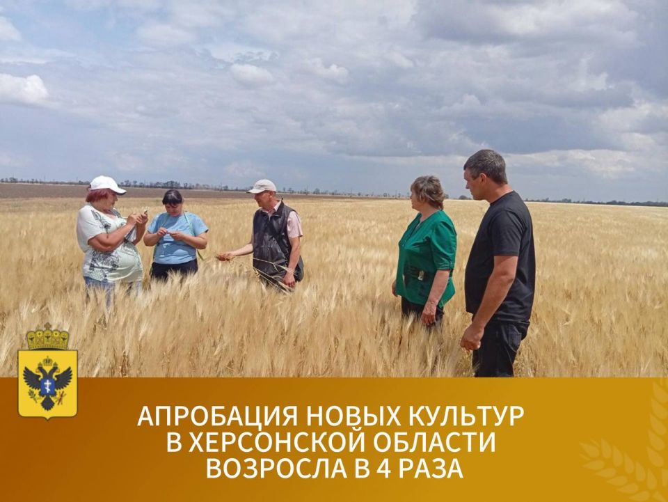 Площади апробации сельхозкультур в Херсонской области выросли почти в четыре раза