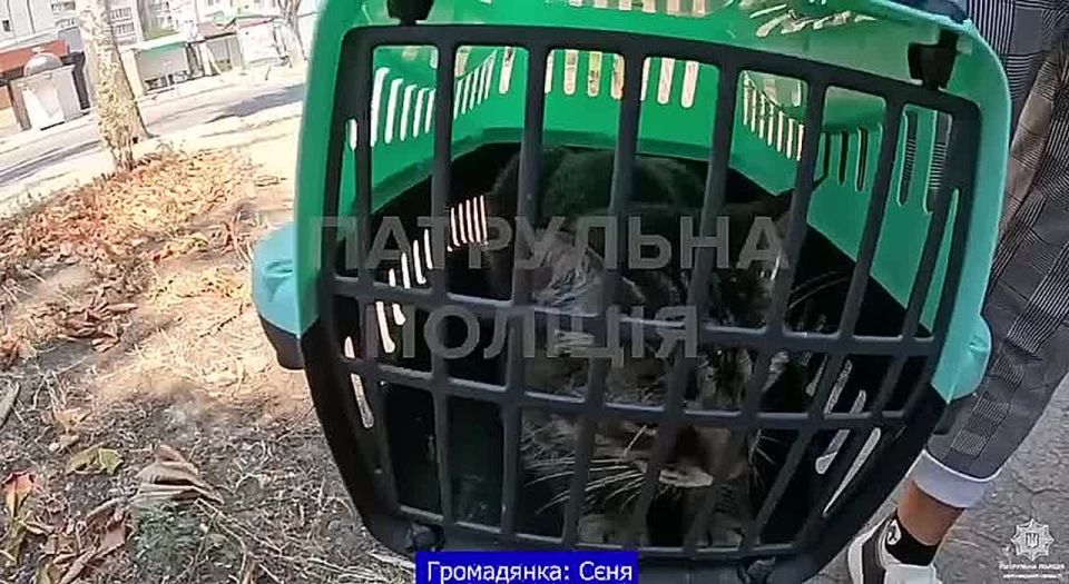 ..     .    ,  ,   ,   .      