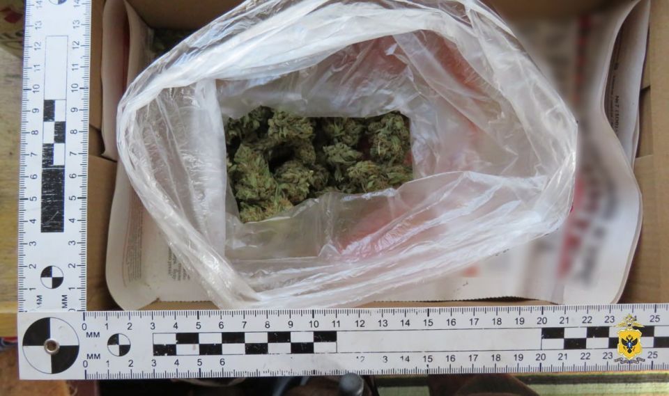 У жителя Новокаховского округа полицейские изъяли партию марихуаны и кусты конопли