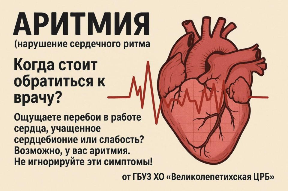  (  ):     ?