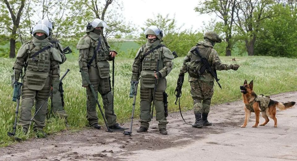 Инженерные подразделения 49-й армии продолжают разминирование в Херсонской области Инженерные подразделения 49-й армии продолжают разминирование в Херсонской области