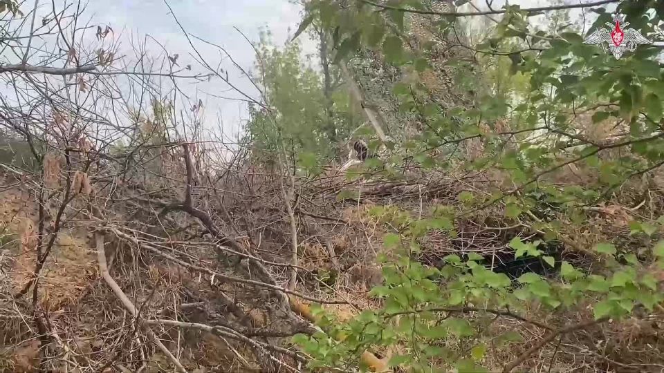 Минобороны России: Артиллеристы из состава 49-й армии поразили сеть фортификационных сооружений на правом берегу Днепра в Херсонской области