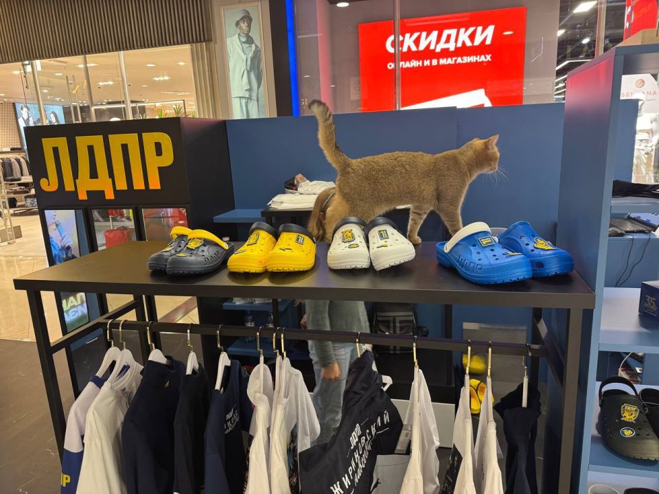 Иван Шумаков: Сегодня вместе с дочкой и котом Принцем посетили новый магазин ЛДПР в ТЦ «Европейский» (Москва, пл. Киевского вокзала, 2). Вот она - подрастающая политическая элита Иван Шумаков: Сегодня вместе с дочкой и котом Принцем посетили новый магазин ЛДПР в ТЦ «Европейский» (Москва, пл. Киевского вокзала, 2). Вот она - подрастающая политическая элита