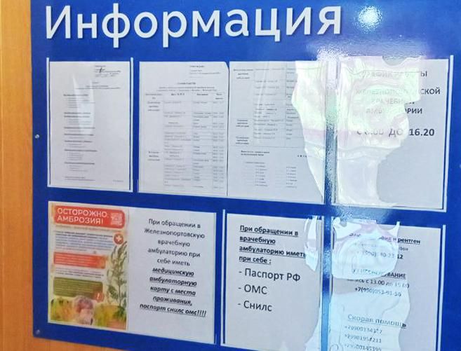 Сотрудники Черноморского заповедника провели акцию против амброзии в Железном Порту Сотрудники Черноморского заповедника провели акцию против амброзии в Железном Порту