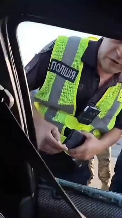 Енот из Херсона: — Боженька, допоможи!. Ничего необычного