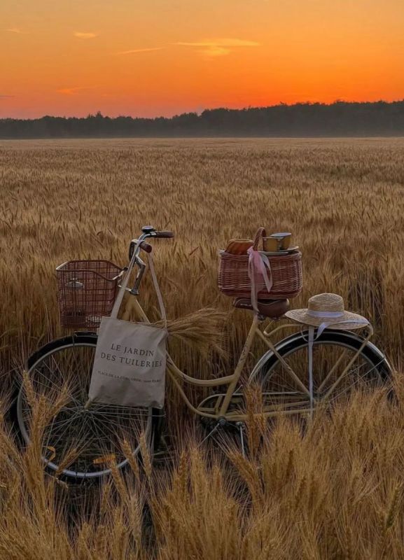 Вайб августа 2025-го: «село» — круче мегаполиса Вайб августа 2025-го: «село» — круче мегаполиса