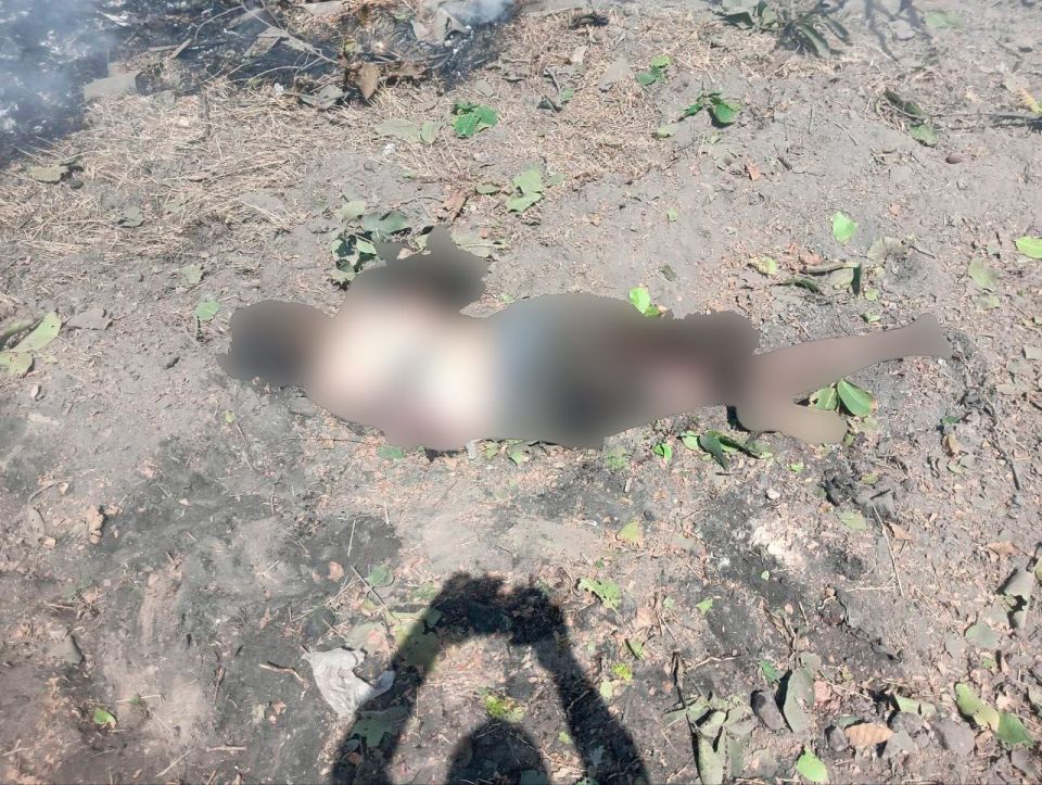 ВСУ атаковали Новую Збурьевку в Херсонской области ВСУ атаковали Новую Збурьевку в Херсонской области