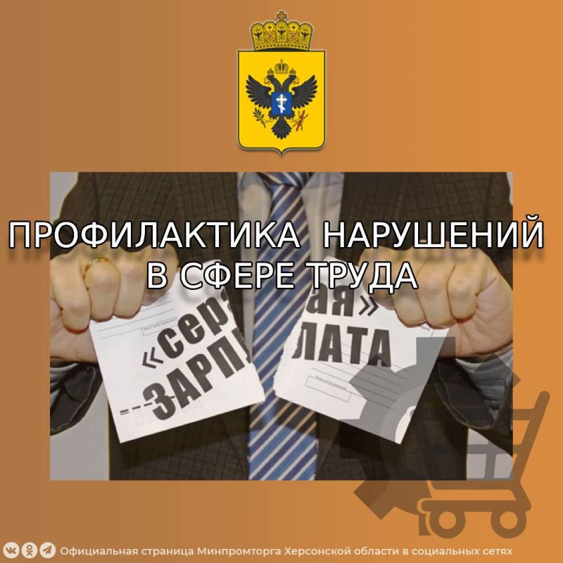 Дневной разбор: "Серая» зарплата — выгодно или опасно?"