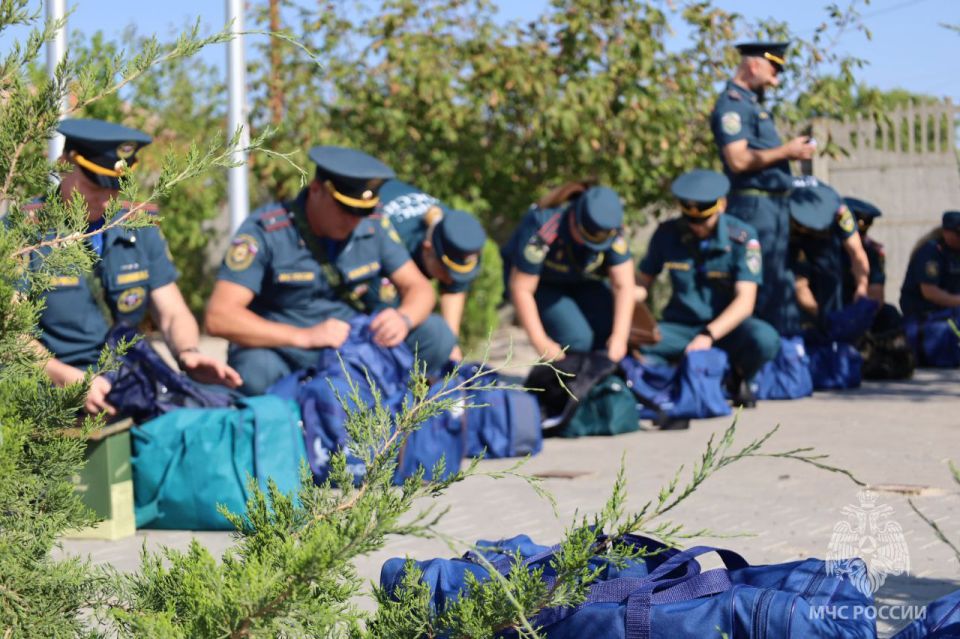 Сотрудники МЧС России отрабатывают навыки тушения природных пожаров Сотрудники МЧС России отрабатывают навыки тушения природных пожаров