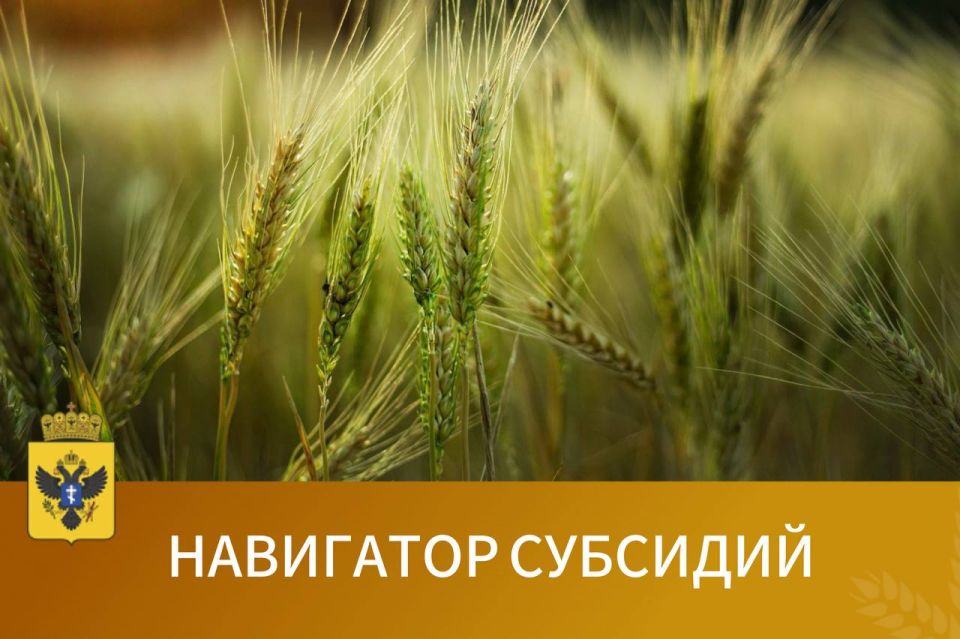 Закрепляем перечень действующих субсидий Херсонской области: