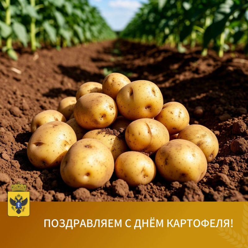 Дорогие друзья!. От всей души поздравляем вас, наших уважаемых аграриев — с замечательным праздником «Днем картофеля»! Картофель — гордость нашей земли, наше национальное достояние и символ российского земледелия