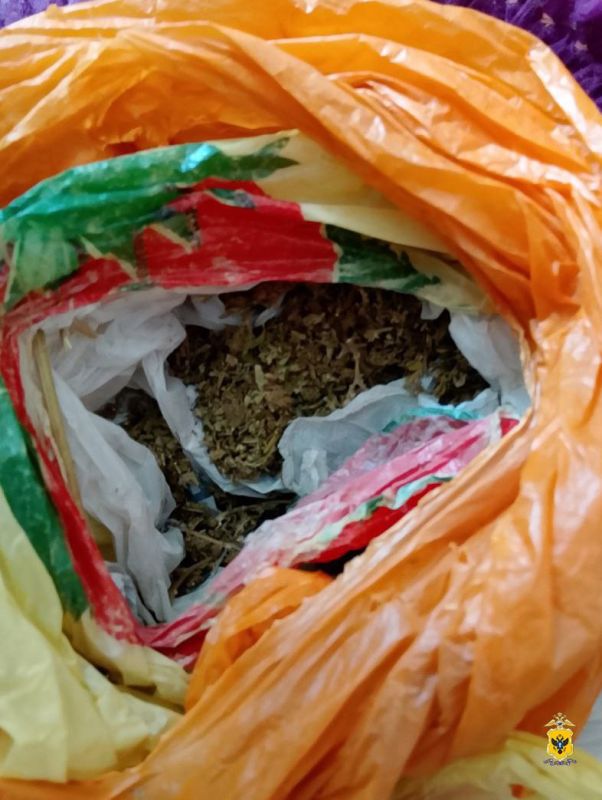 В Геническом и Алешкинском округах полицейские изъяли у двух сельчан наркотические средства