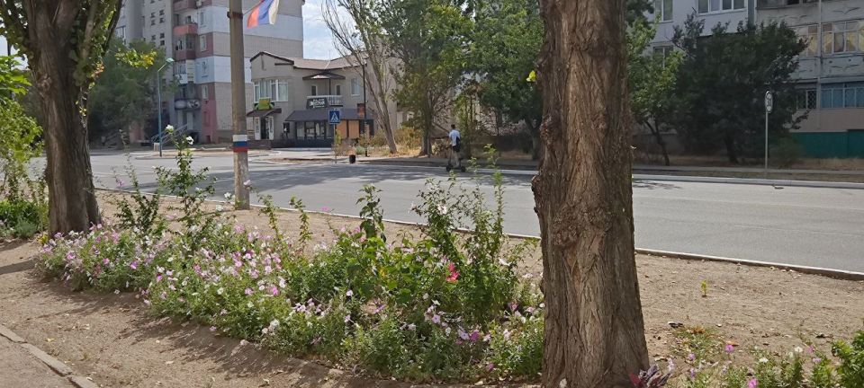 Украшение улиц! Озеленители и жители нашего округа заботятся о цветах и клумбах Украшение улиц! Озеленители и жители нашего округа заботятся о цветах и клумбах