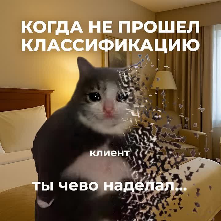 ,  !        