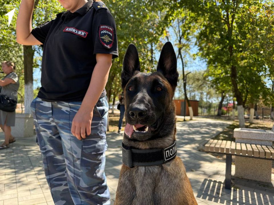 Первые побывали на встрече с кинологами Первые побывали на встрече с кинологами