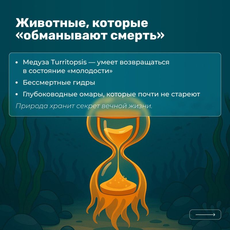 Иногда достаточно одного факта, чтобы мир уже никогда не казался прежним Иногда достаточно одного факта, чтобы мир уже никогда не казался прежним