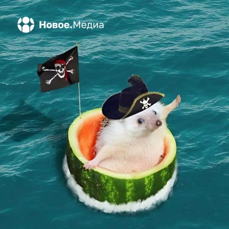   :    ,       ?        .  