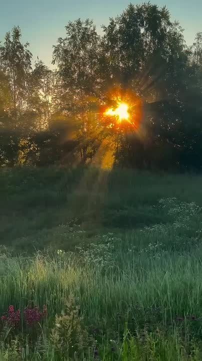  : -   ?.     