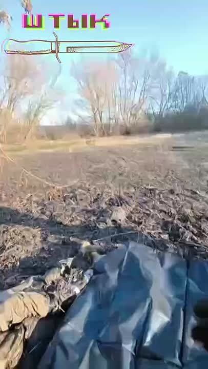   .. -  