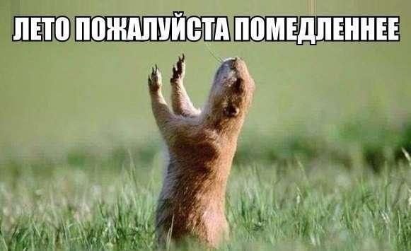Сейчас всем нам будет немножечко больно Сейчас всем нам будет немножечко больно