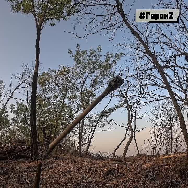    -     2022   