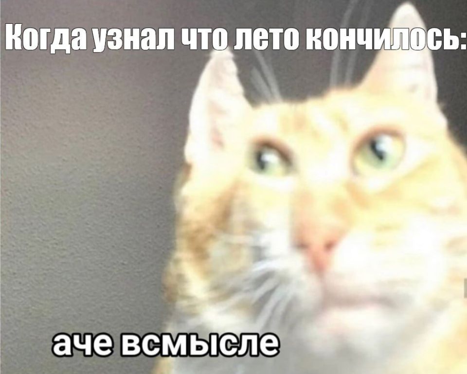 Сейчас всем нам будет немножечко больно Сейчас всем нам будет немножечко больно