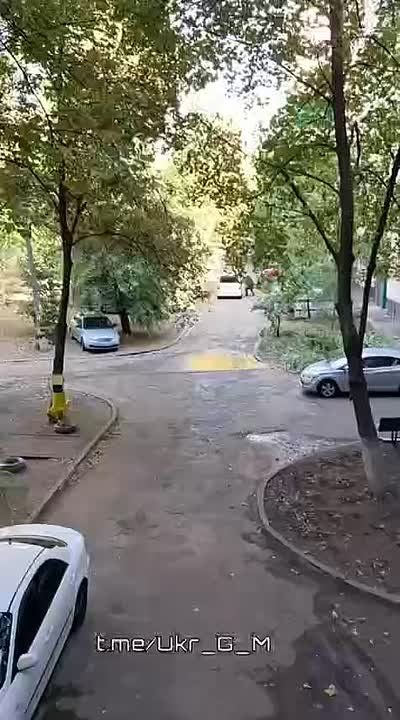   :   