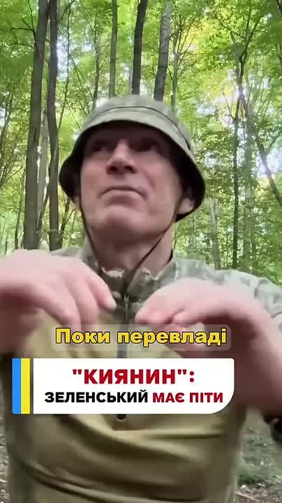   .   :      ,    2019 ,   