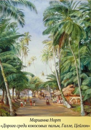 2  -   