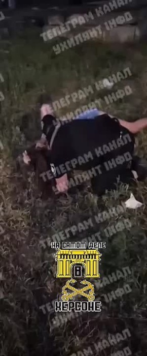 :      ,     