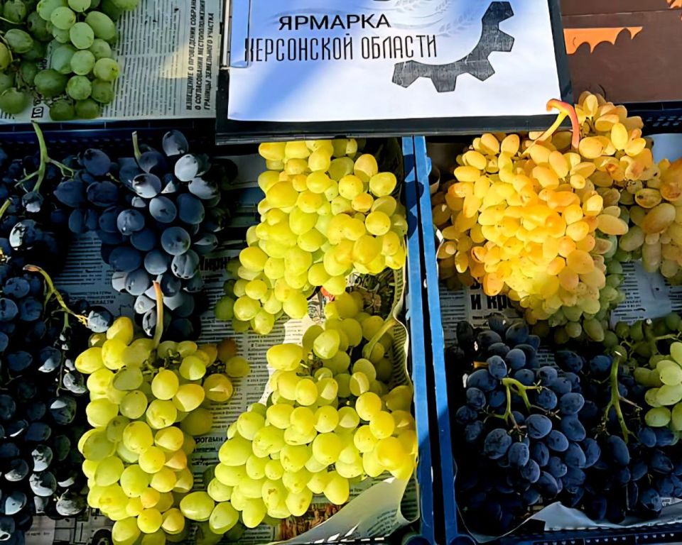 Ярмарки на Левобережье Херсонской области — 52 постоянно действующие ярмарочные площадки! Ярмарки на Левобережье Херсонской области — 52 постоянно действующие ярмарочные площадки!