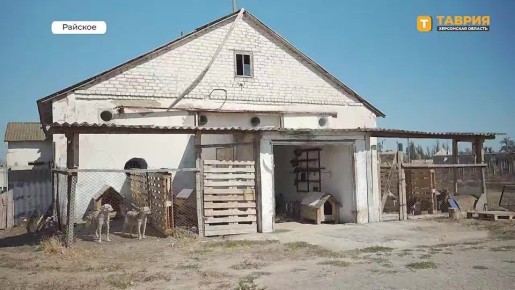   &quot;&quot;      ,      