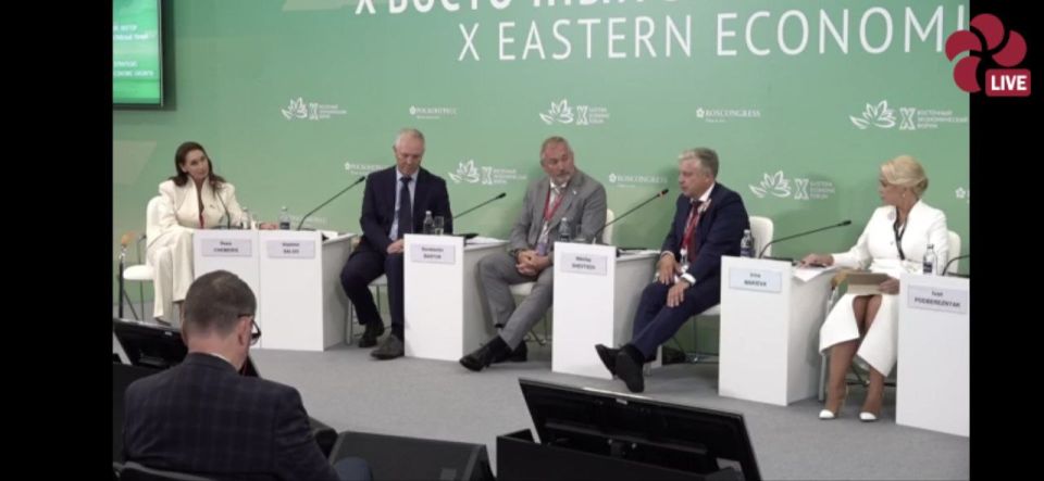 Константин Басюк: Восточный экономический форум – 2025 Константин Басюк: Восточный экономический форум – 2025