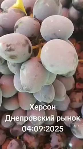 .  :  ,     