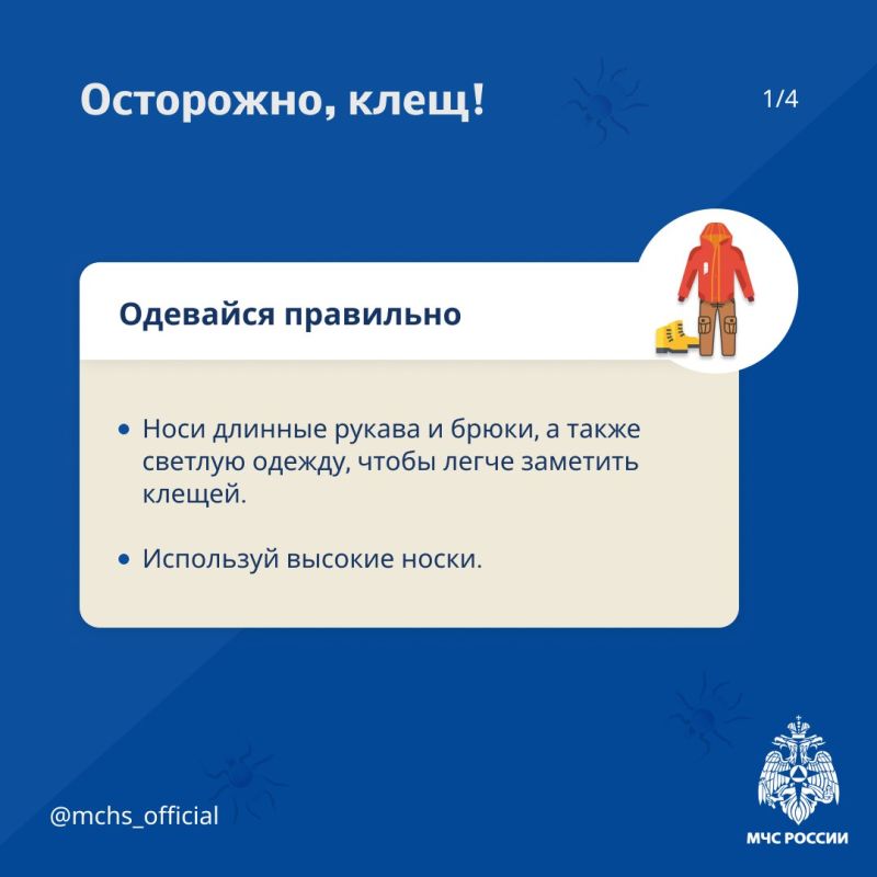 Клещи все еще голодны. Лето уже закончилось, однако, это не значит, что время активности клещей завершено Клещи все еще голодны. Лето уже закончилось, однако, это не значит, что время активности клещей завершено