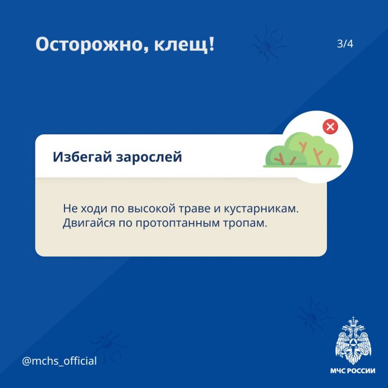 Клещи все еще голодны. Лето уже закончилось, однако, это не значит, что время активности клещей завершено Клещи все еще голодны. Лето уже закончилось, однако, это не значит, что время активности клещей завершено