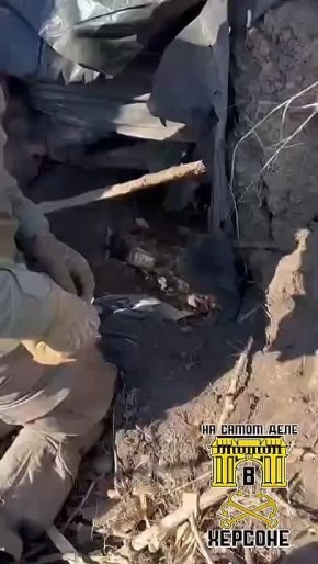 &quot; ,  !&quot; -          