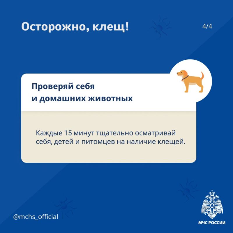 Клещи все еще голодны. Лето уже закончилось, однако, это не значит, что время активности клещей завершено Клещи все еще голодны. Лето уже закончилось, однако, это не значит, что время активности клещей завершено